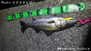 ���ޥ���������Х�