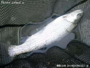 �쥤��ܡ��ȥ饦��