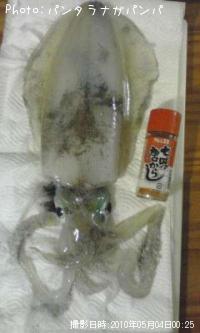 �����ꥤ��