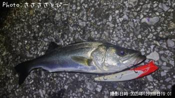 �����Х�