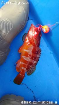 �����ϥ�