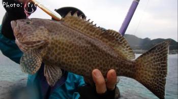 �������ϥ�