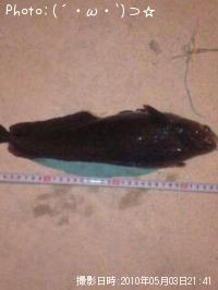 ¥¨¥¾¥¢¥¤¥Ê¥á