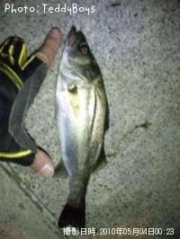 �����Х�