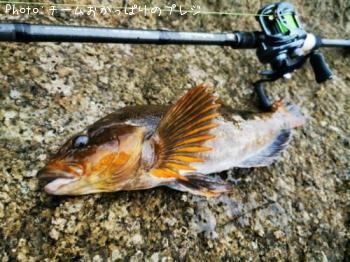 �����ʥ�