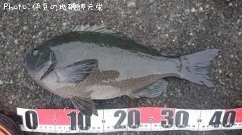 �����᥸��