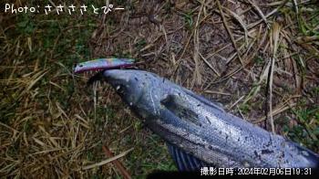 �����Х�