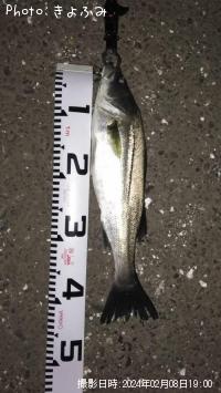 �����Х�