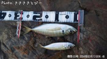 ���������ޥ�