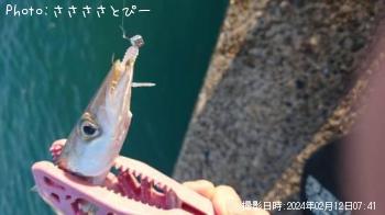 ���������ޥ�