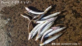 ���������ޥ�