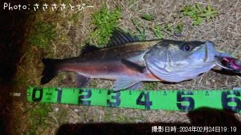 �����Х�