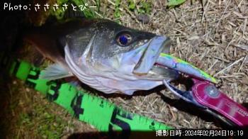 �����Х�