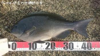 �����᥸��