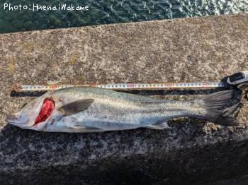 �����Х�