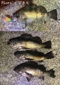 ��Х�