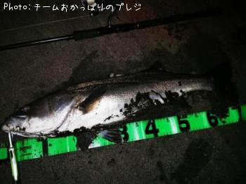 �����Х�