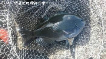 �����᥸��