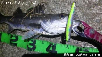 �����Х�