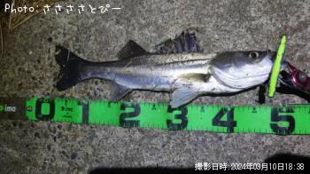 �����Х�