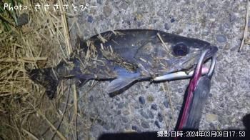 �����Х�