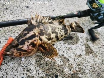 �����Υ���Х�