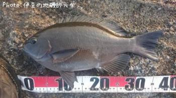 �����᥸��