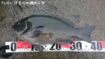 �����᥸��