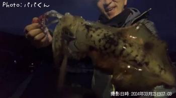 �����ꥤ��