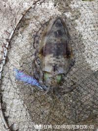 �����ꥤ��