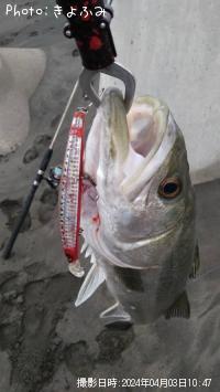 �����Х�