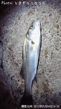 �����Х�