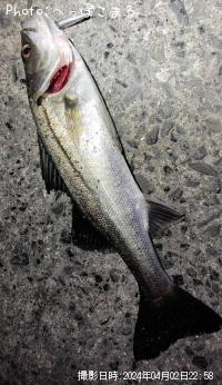 �����Х�