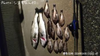 �����Υ���Х�¾