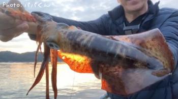 �����ꥤ��