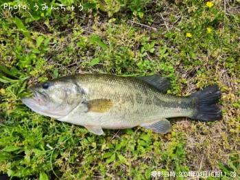 �֥�å��Х�