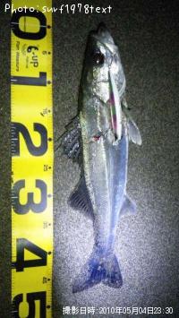 �����Х�