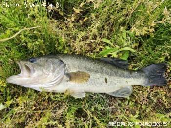 ¥Ö¥é¥Ã¥¯¥Ð¥¹