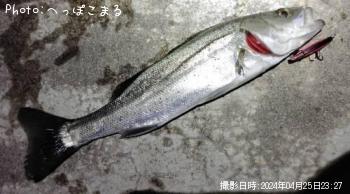 �����Х�