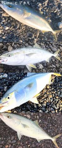 �ϥޥ����䥺