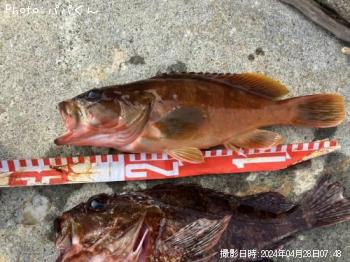 �����ϥ�