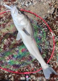 �����Х�