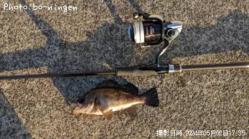 ¥±¥ó¥µ¥¥¤¥«¡©