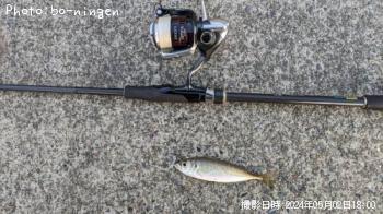 ¥±¥ó¥µ¥¥¤¥«¡©