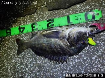 ���������������Х�