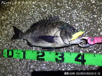 ���������������Х�