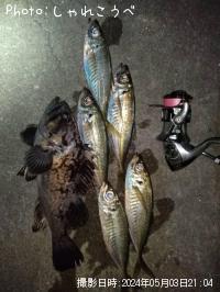 ��������������