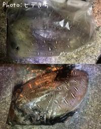 ��󥴥�����