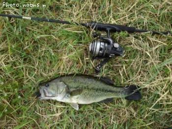 ¥Ö¥é¥Ã¥¯¥Ð¥¹