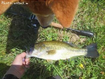 �֥�å��Х�